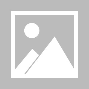 开云网址入口-王楚钦不提倡生日应援，饭圈都该好好听一听 | 新京报快评|世乒赛|运动员|体育|粉丝|比赛